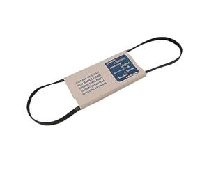 SOS Accessoire Courroie 1231H Poly V pour Lave-linge 41003164 BLUESKY, CANDY, DOMAN, HOOVER, OSTEIN, OTSEIN, ZEROWATT