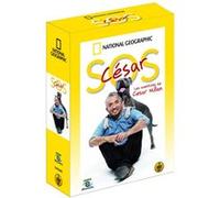 SOS César! Les aventures de César Millan DVD E