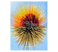 Sosies de la terre - Alain Ernoult - Gourcuff Gradenigo - relié - Catalogue d'exposition