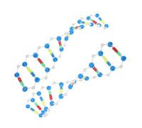 Sosoport 2 Pièces De Composants De Modèle D'Adn Modèle Moléculaire Ki Modèles Moléculaires Outils Éducatifs D'Adn Kit De Test D'Adn pour Le Modèle D'Enseignement De