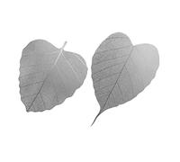 Sosoport 2 pièces Infuseur à Thé Acier Inoxydable Filtre Décorative Passoire Fine Multi Usage Petit et Grand pour Thé Tisane et Lait Tea Design Pratique et