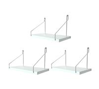 Sosoport 3 Pièces Étagère Murale de Rangement sans Percer, Acier | Blanc, pour Petites Plantes en Pot et Petits Objets, Chambre ou Dortoir
