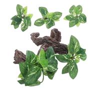 Sosoport 4 Pièces de Bois Flotté pour Aquarium en Plastique, Décor Naturel de Grotte pour Aquarium, pour Poissons Betta et Reptiles