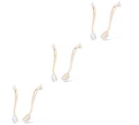 Sosoport 6 Pièces Brosse À Chaussures De Nettoyage De Cuisine Brosse À Crevasses Brosses De Nettoyage De Cage À Oiseaux Brosse De Lavage De Nettoyage Brosse À Récurer Le Linge Brosse De