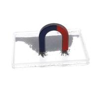 Sosoport Boîte Poudre Fer Magnétique pour Expériences Scientifiques Éducatives Instrument Démonstration Lignes Champ Magnétique Matériel Enseignement Physique