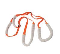 Sosoport Ceinture Réhabilitation pour Chiens Ceinture Ajustable pour Chiens Handicapés Confortable Et Lavable pour Mobilité des Animaux Âgés