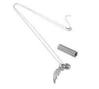Sosoport Collier Souvenir Urne pour Animaux De Compagnie Collier Urne pour Cendres en Acier Titane pour Crémation