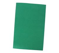Sosoport Lot De 2 Tapis pour Reptiles Tapis De Lit Confortable pour Reptiles 50 X 30 Cm Filtre Solide Et