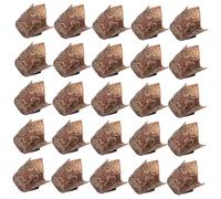 Sosoport Lot de Caissettes à Cupcakes Tulipe Papier Huile Résistant Haute Température Moules Pâtisserie pour Muffins et Gâteaux Accessoires de Cuisson et Écologiques