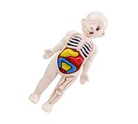 Sosoport Modèle Anatomique 3D des Organes Internes pour Garçon et Filles Jouet Pédagogique DIY Aide à L'Éducation Précoce Puzzle Cognitif d'Anatomie pour Anniversaire et Noël
