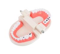 Sosoport Modèle de Dents pour Garçon Fille Éducatif Interactif pour Apprentissage de Hygiène pour Jeu de Rôle Développement Précoce