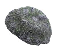 Sosoport Plateforme Flottante pour Tortues Habitation de Repos Île Flottante pour Reptiles Abri pour Aquarium Décoration de Terrarium Plateau de Repos pour Tortues