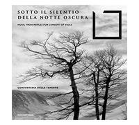 Sotto Il Silentio Della Notte Obscura