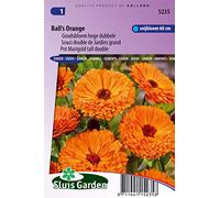 Souci double de Jardins Ball's Orange - Graines De Fleurs Annuelles