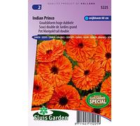 Souci double de Jardins Indian Prince - Graines De Fleurs Annuelles