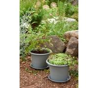 Soucoupe BOTANICA, diamètre : 260 mm, gris