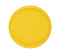 Soucoupes en CéRamique Modern pour Pots de Fleurs, Plateaux de Drainage Ronds pour Plantes, Plateau Multi-Usages pour PréSentation Plantes dans Votre Espace DéTente(6.6inch,Yellow)