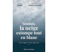 Soudain, la neige estompe tout en blanc