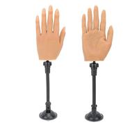 Souffes 1 paire Pragineur de l'ongle Pratique de la pratique avec 2pcs Support d'aspiration Conseils d'ongle pour la pratique de l'acupuncture d'affichage, la pratique des ongles