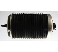 Ressort pneumatique, châssis TRISCAN 8720 29203