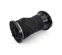 Arnott A-3516 Ressort pneumatique, châssis pour DODGE,RAM