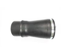 Soufflet de coussin d'air Essieu arrière droit Pont en bas ASP010 MONROE