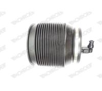 Ressort pneumatique, châssis MONROE ASP022