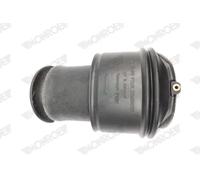 Ressort pneumatique, châssis MONROE ASP007