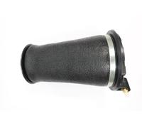 Ressort pneumatique, châssis MONROE ASP037