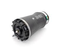Arnott A-4008 Ressort pneumatique, châssis pour DODGE,RAM