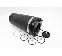 Ressort pneumatique, châssis MONROE ASP026