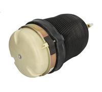 Soufflet de suspension, suspension pneumatique MONROE ASP035 A6 C6 (4F2) 2 2004-