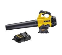 Souffleur 18V XR - 5AH DeWalt