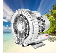 Souffleur À Anneau Vortex Haute Pression for Soufflage Ou Aspiration d'air, 0,16 CV 1,49, Souffleur Régénératif, 220 V 50 Hz, Aération des Eaux Usées, Aquarium, Bassin Poissons(120W/0.16HP)