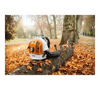 Souffleur à dos thermique BR 700 STIHL - 42822000021