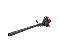 Souffleur arrière à essence 1,25 kW - 42,7 cc - 2 temps - Plus de 720 m³/h - Démarrage manuel et portable pour de grandes surfaces - Vitesse d'air de 14,1 m/s