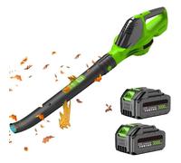 Souffleur Batterie Sans Fil 3000W - 2x Batteries 3.0Ah et Chargeur Rapide, 5 Niveaux de Puissance, 21V, 60 Min d’Utilisation,