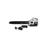 Souffleur Cyclonique sur Batterie XPSE40LIBL-2B - 40V - Air 198 KM/H - 2x BATTERIES XPBAT4A + Chargeur