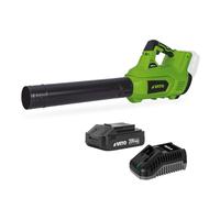 VITO - Souffleur de Feuilles sans Fil 20V + Batterie 2Ah + Chargeur Rapide 2 Vitesses Nettoyage Terrasse Allée Jardin