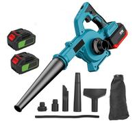 Souffleur de Feuilles 21V, souffleur Feuille Batterie 2× 2,0Ah, 800W Moteur Brushless, 6 Modes de Vitesse, souffleur Jardin san Fil