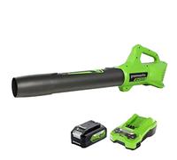 Souffleur de Feuilles axial à Batterie Greenworks(Li-Ion24V Vitesse de l'air143km/h,Volume d'air 531m³/h,Turbine axiale puissante avec contrôle électroniquede la Vitesse,batterie4Ah et chargeurinclus