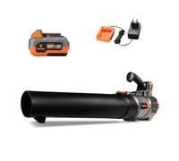 Souffleur de Feuilles Batterie FUXTEC FX-E1LB20 20V sans Fil Set avec 1 Batterie 4Ah et Chargeur 2,4A, pour Les Feuilles mortes dans Le Jardin, Le Trottoir et l'allée - Silencieux - jusqu'à 38m/s