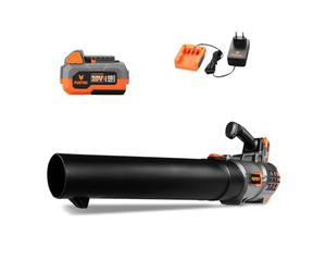 Souffleur de Feuilles Batterie FUXTEC FX-E1LB20 20V sans Fil Set avec 1 Batterie 4Ah et Chargeur 2,4A, pour Les Feuilles mortes dans Le Jardin, Le Trottoir et l'allée - Silencieux - jusqu'à 38m/s