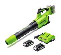 Souffleur de feuilles - Greenworks - 2405007UC - 24V - 225 km/h - Ergonomique