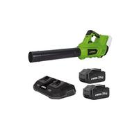 Souffleur de Feuilles Jardin 40V + 2 Batteries lithium 4AH + Chargeur DOUBLE
