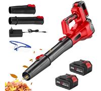 Souffleur de Feuilles sans Fil 21V, 500 W, Souffleur à Feuilles avec 2 Batterie, 6 Modes de Vitesse, Leaf Blower pour la saleté & Les Feuilles, Tube Amovible,avec Lunettes de Protection (D)