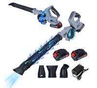 Souffleur de Feuilles sans Fil,24V avec 2 Batteries et 1 Chargeur, 5 Modes de Vitesse, Souffleur Alimenté par Batterie sans Fil pour l'Entretien de la Pelouse, la Terrasse, l'Intérieur (17000 TR/Min)