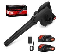 Souffleur de Feuilles sans Fil 24V - Lot 2 Accus 2000mAh & Chargeur