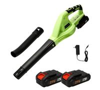 Souffleur de feuilles sans fil 3000 W 21 V - Turbo 240 km/h, 2 vitesses, 2 batteries 1,5 Ah