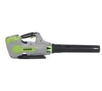 Souffleur de feuilles sans fil - de marque - 60V sans batterie ni chargeur - noir